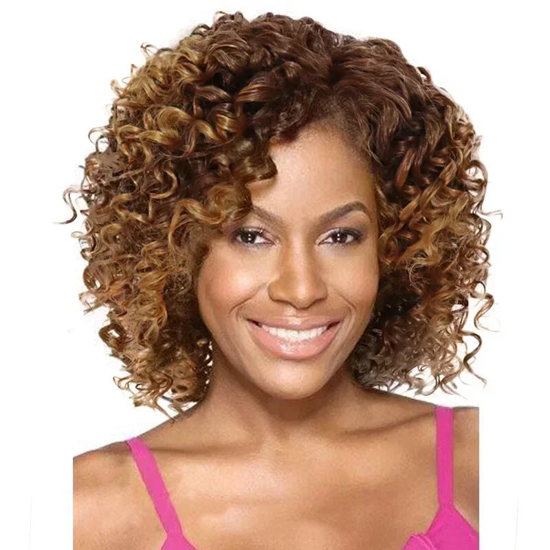 Synthetic Curly Wigs for Women Short Afro Wig Natural Female Mix Brown Hair African American Wig for Ladies Bob Curls